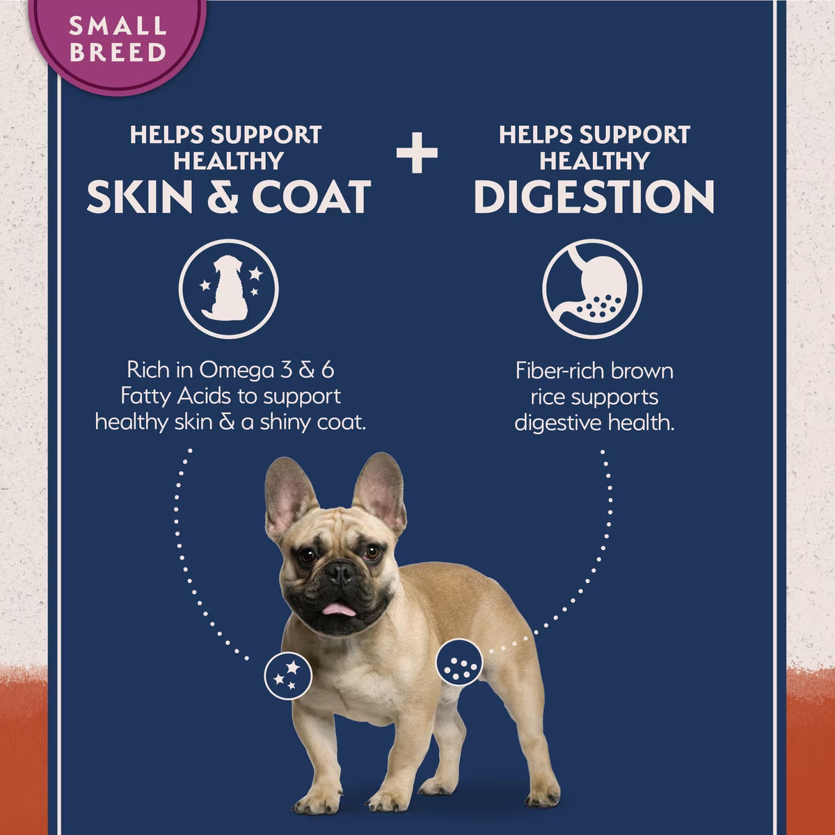 Natural Balance Grain-Free Salmon & Sweet Potato Small Breed Bites Recipe Dry Dog Food 12lb