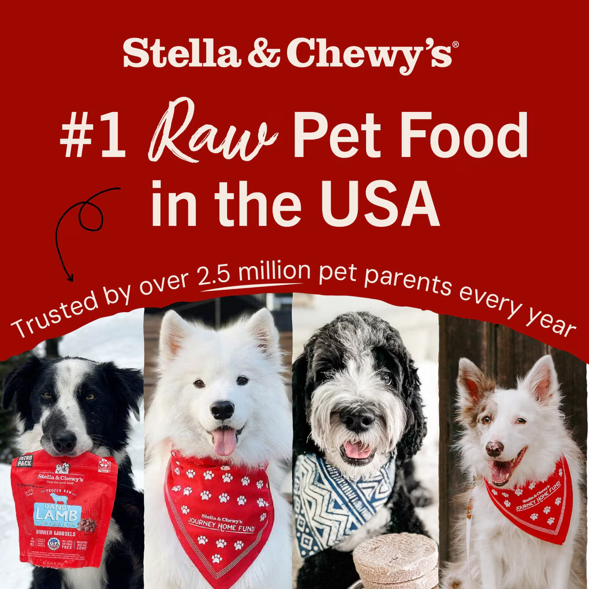 Stella & Chewy's Turkey Meal Mixers Freeze-Dried Raw Dog Food Topper 18z