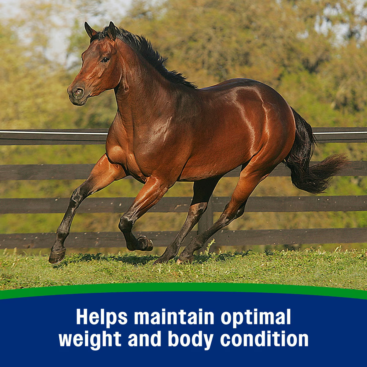 Farnam Weight Builder & Support Supplement for Horses 7.5lb