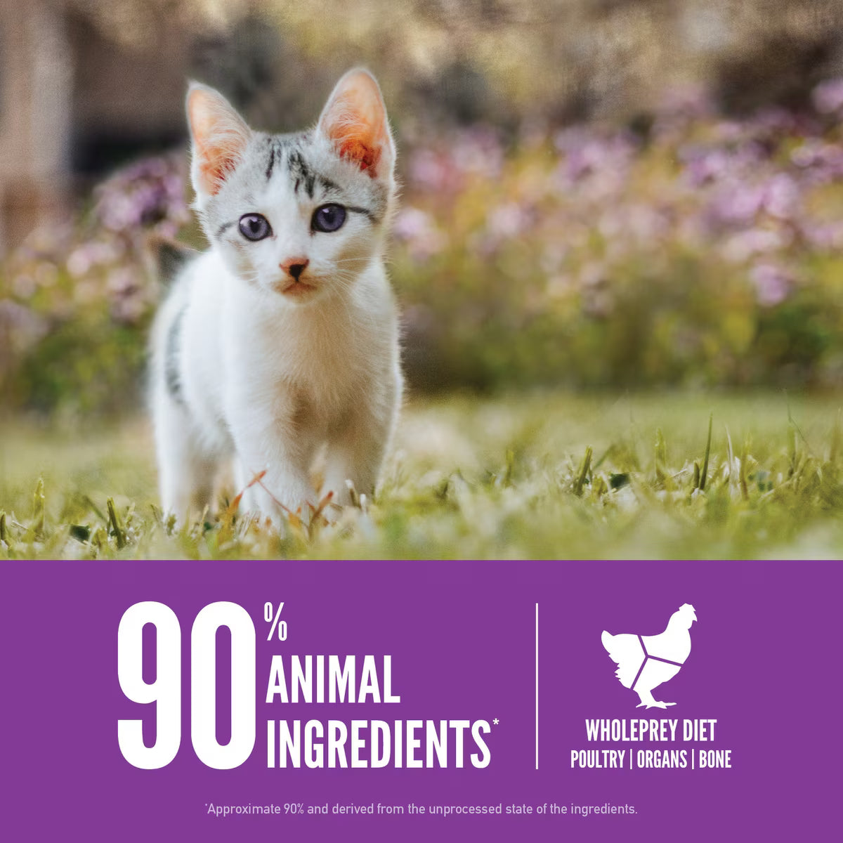 ORIJEN KITTEN 4LB