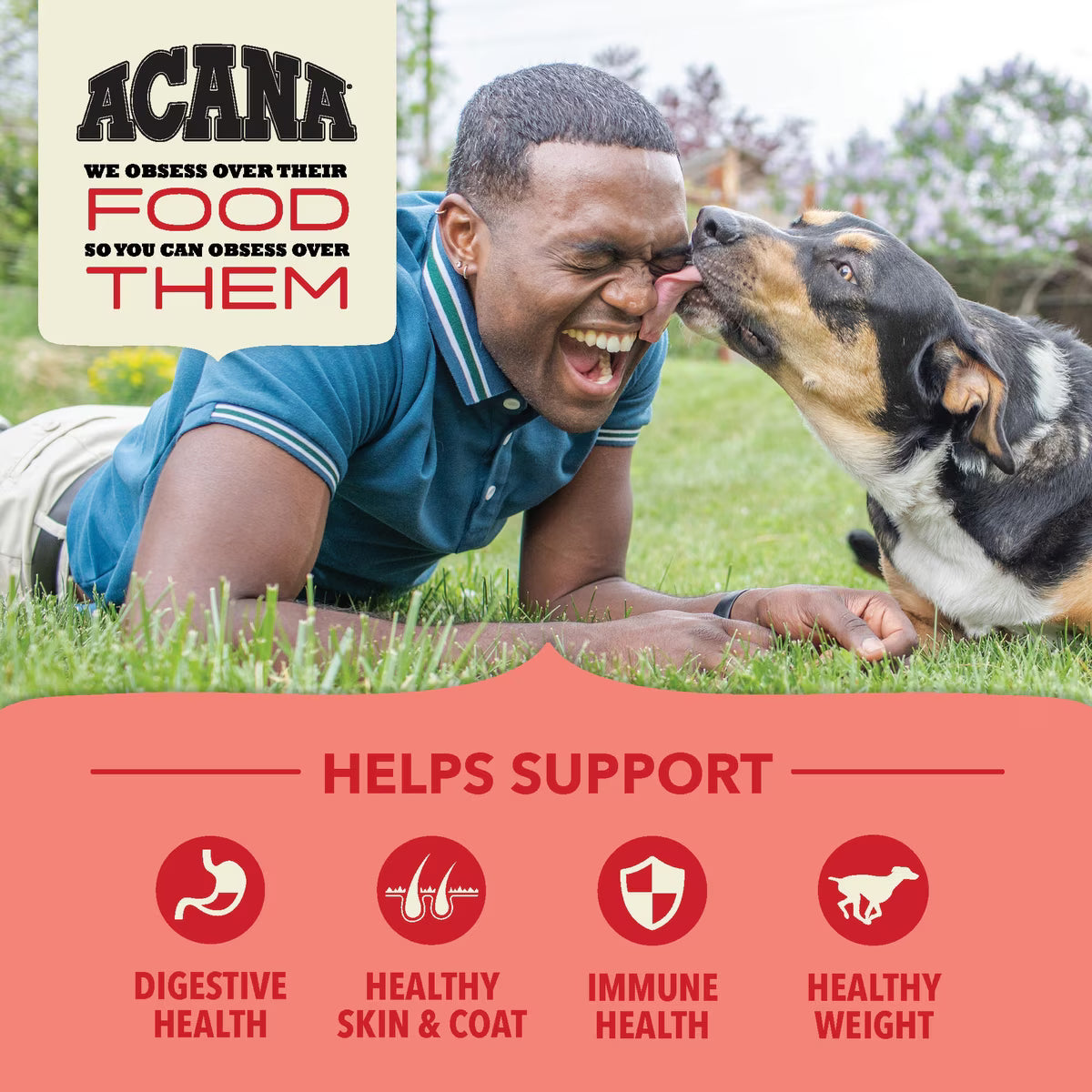 ACANA Red Meat & Grains Beef Pork & Lamb Wholesome Grains Dry Dog Food 25LB
