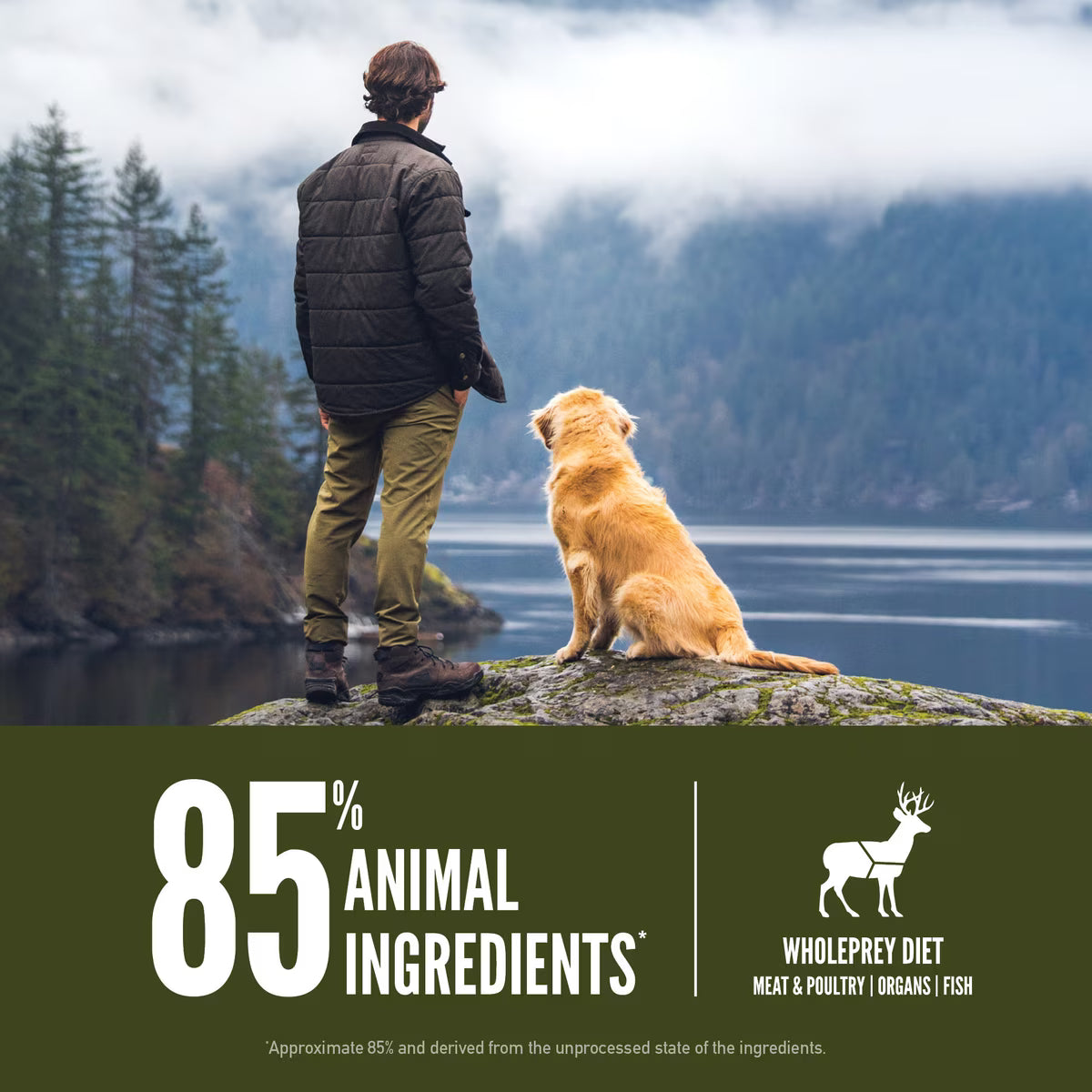 Orijen Tundra Grain-Free Dry Dog Food 4.5lb