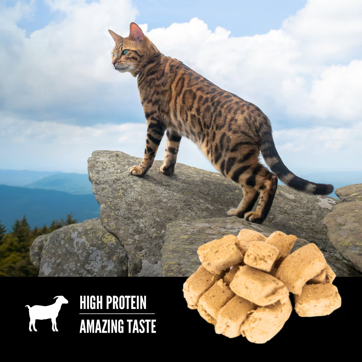 Orijen Tundra Grain-Free Freeze Dried Cat Treats 1.25oz