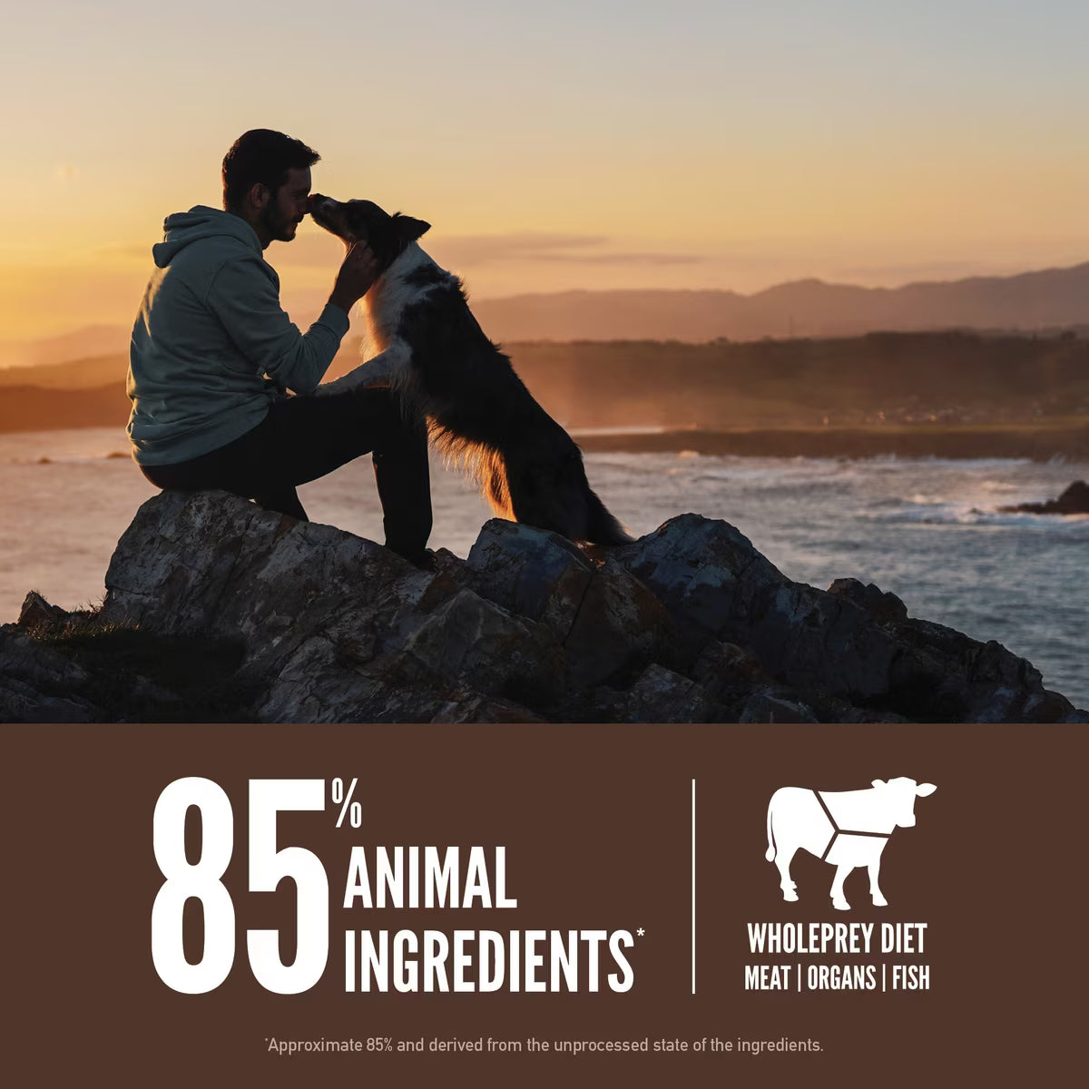 Orijen Regional Red Grain-Free Dry Dog Food 4.5lb