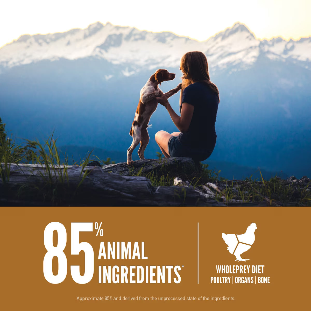 Orijen Puppy Grain-Free Dry Dog Food 23.5lb