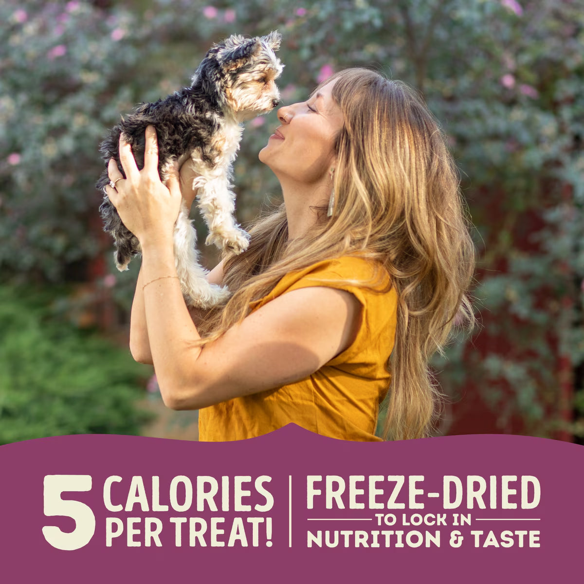 ACANA Singles Lamb & Apple Grain-Free Freeze-Dried Dog Treats 1.25oz