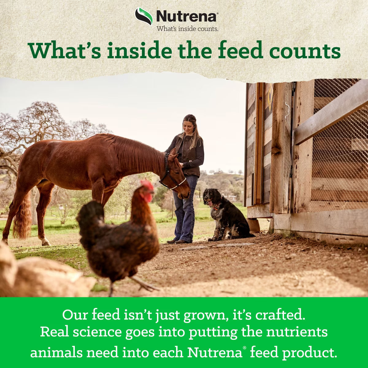 Nutrena Nature Smart Organic 16% Layer Crumble 35lb