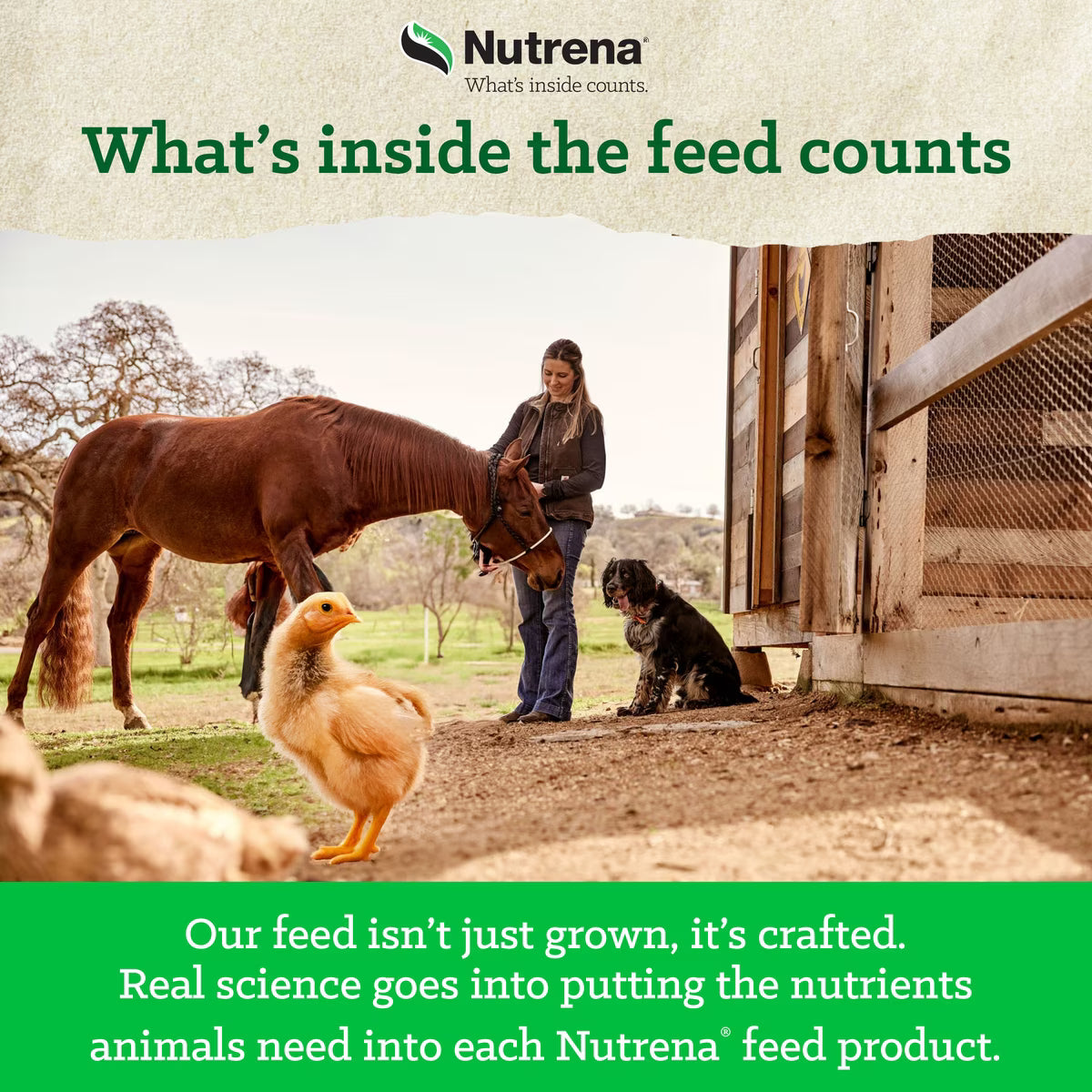 Nutrena Nature Smart Organic 20% Chick Starter-Grower Crumble 35lb