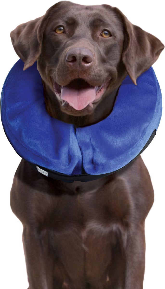 Kong Cloud Collar            L