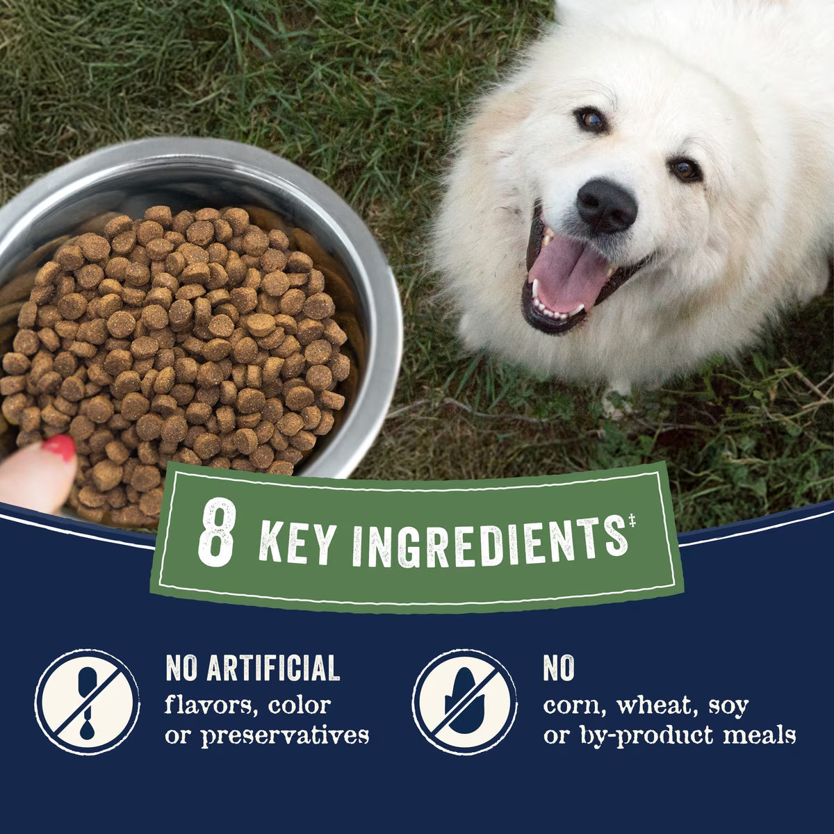 Canidae Pure Farm to Bowl Wild-Caught Salmon & Sweet Potato Recipe Dry Dog Food 22lb