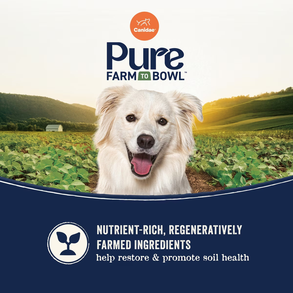 Canidae Pure Farm to Bowl Wild-Caught Salmon & Sweet Potato Recipe Dry Dog Food 22lb