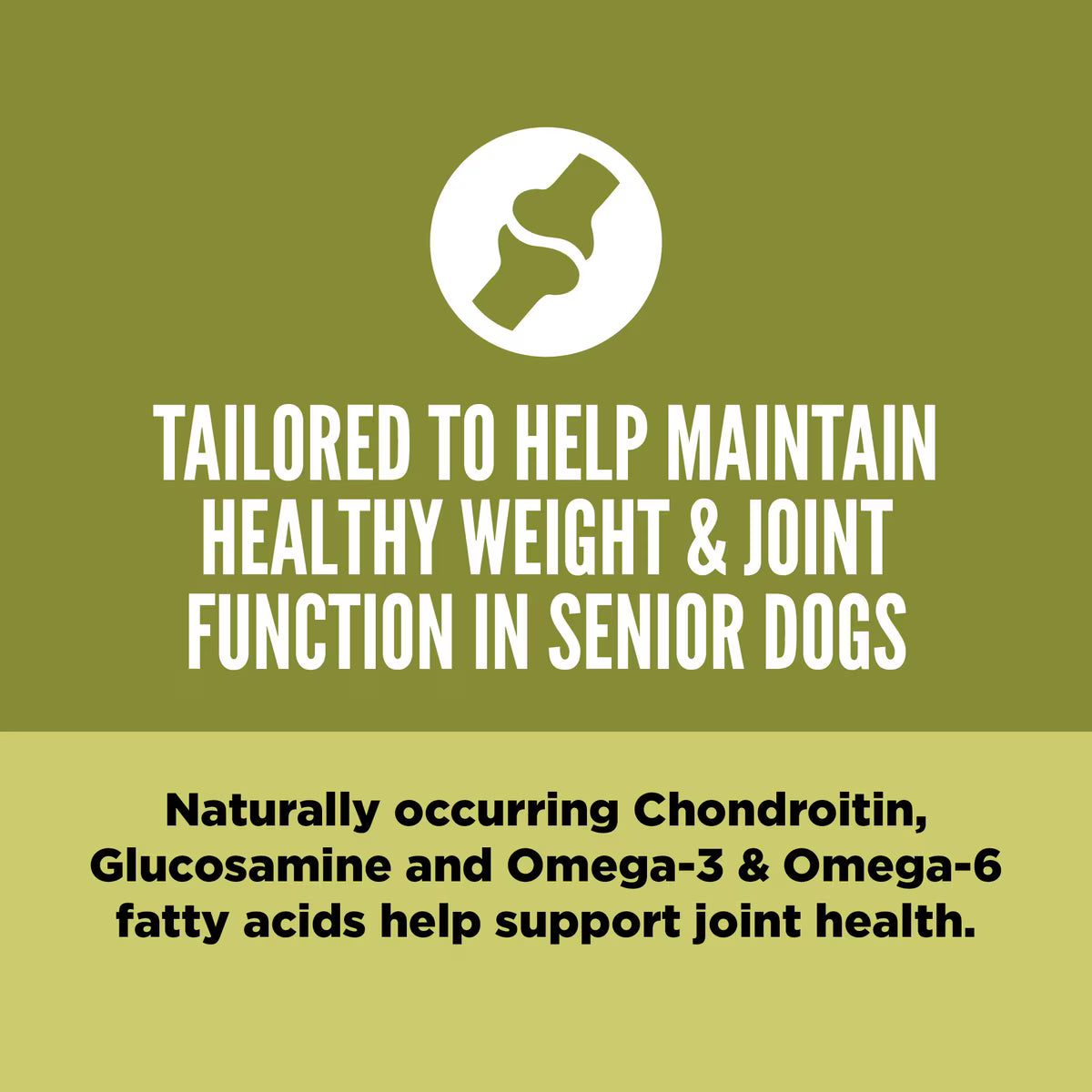 Orijen Senior Grain-Free Dry Dog Food 23.5lb