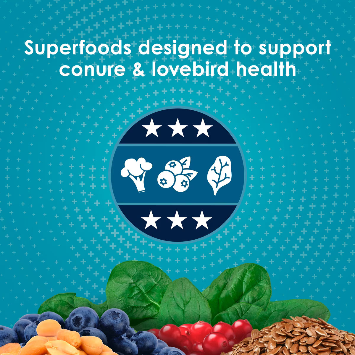 Kaytee Forti-Diet Pro Health Conure & Lovebird Food 4lb
