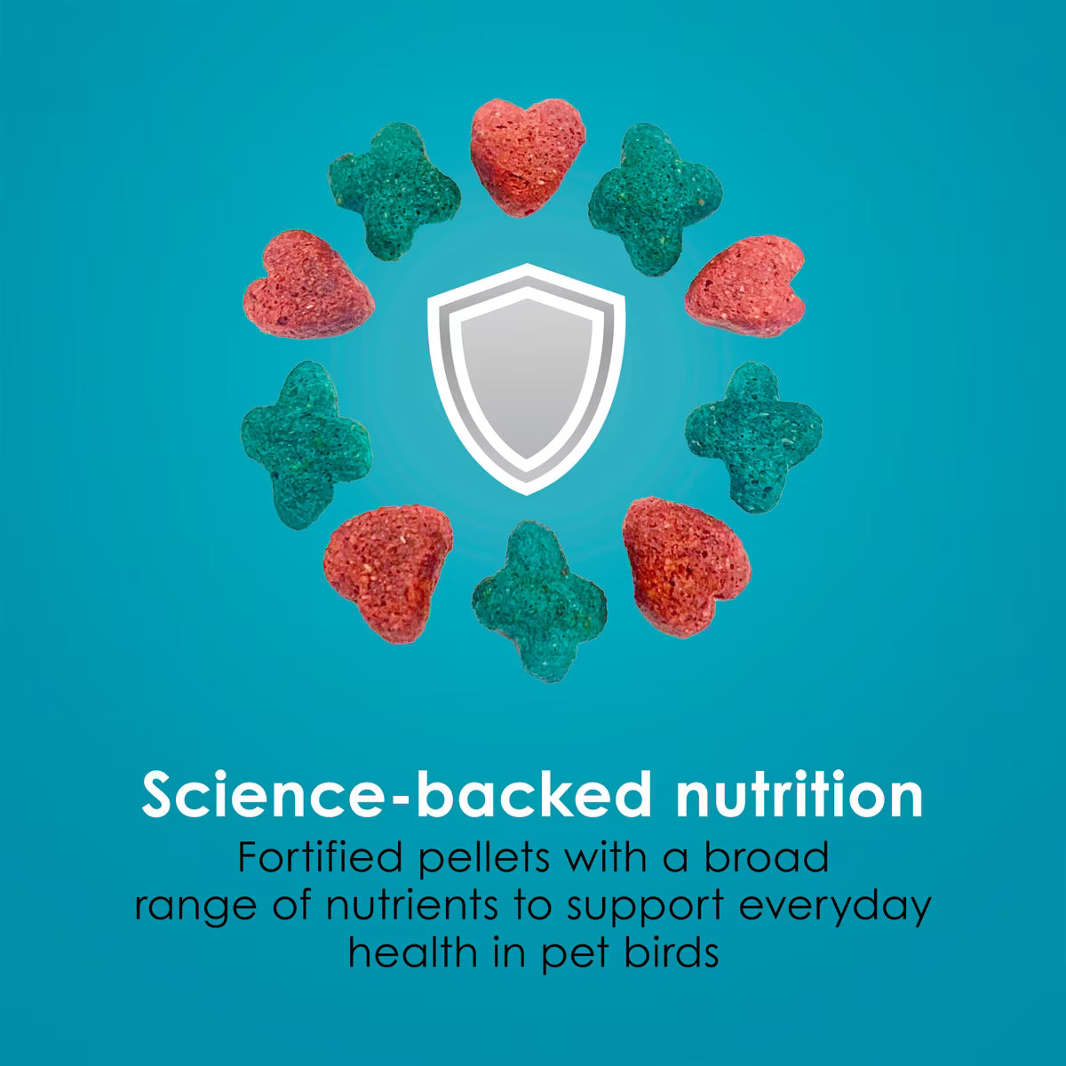 Kaytee Forti-Diet Pro Health Nourish + Protect Cockatiel Food 4lb