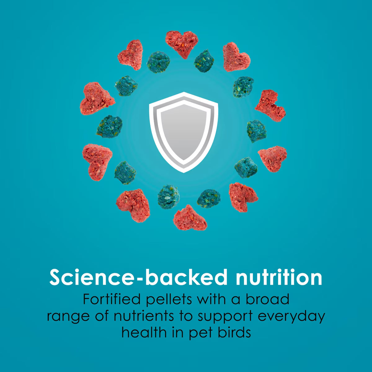 Kaytee Forti-Diet Pro Health Nourish+Protect Canary & Finch Food 2lb