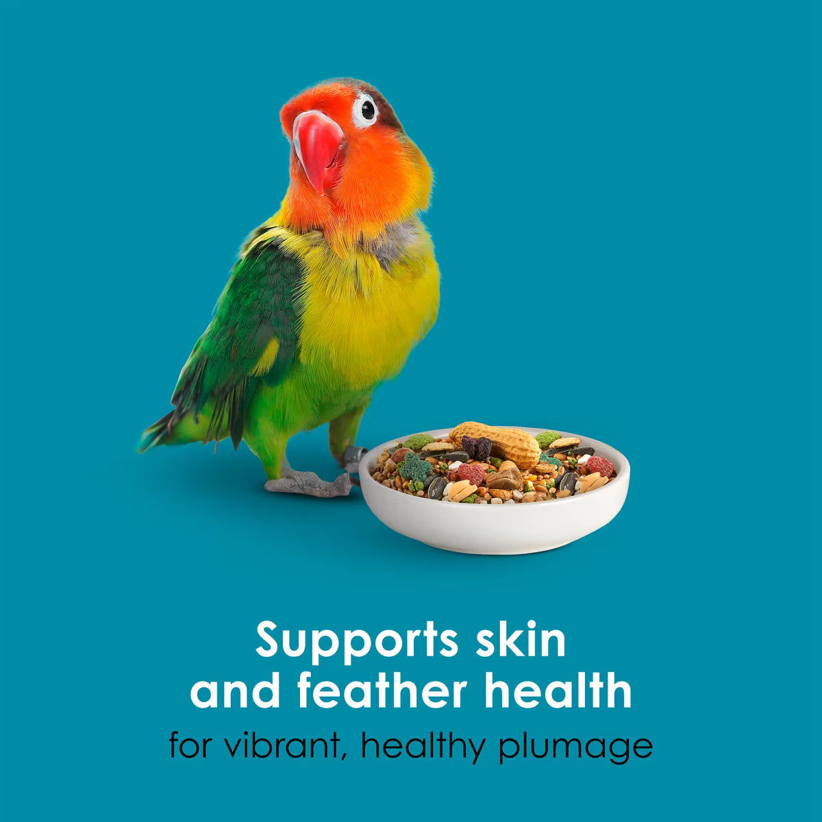 Kaytee Forti-Diet Pro Health Conure & Lovebird Food 4lb