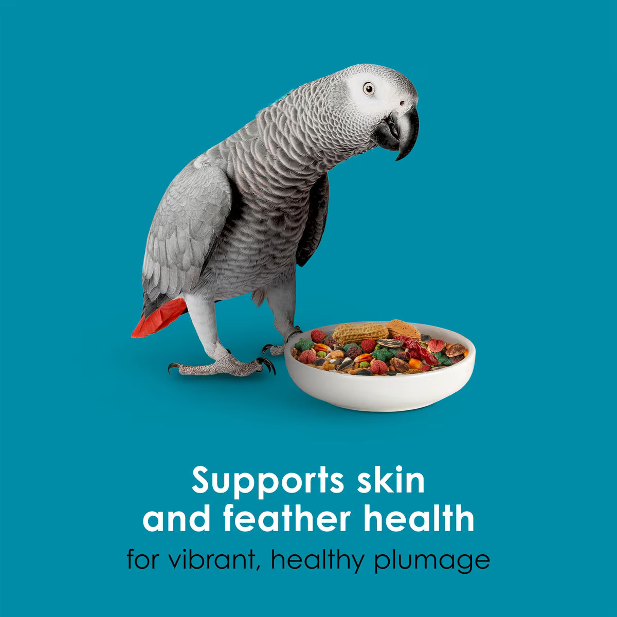 Kaytee Forti-Diet Nourish+Protect Parrot Food 8lb
