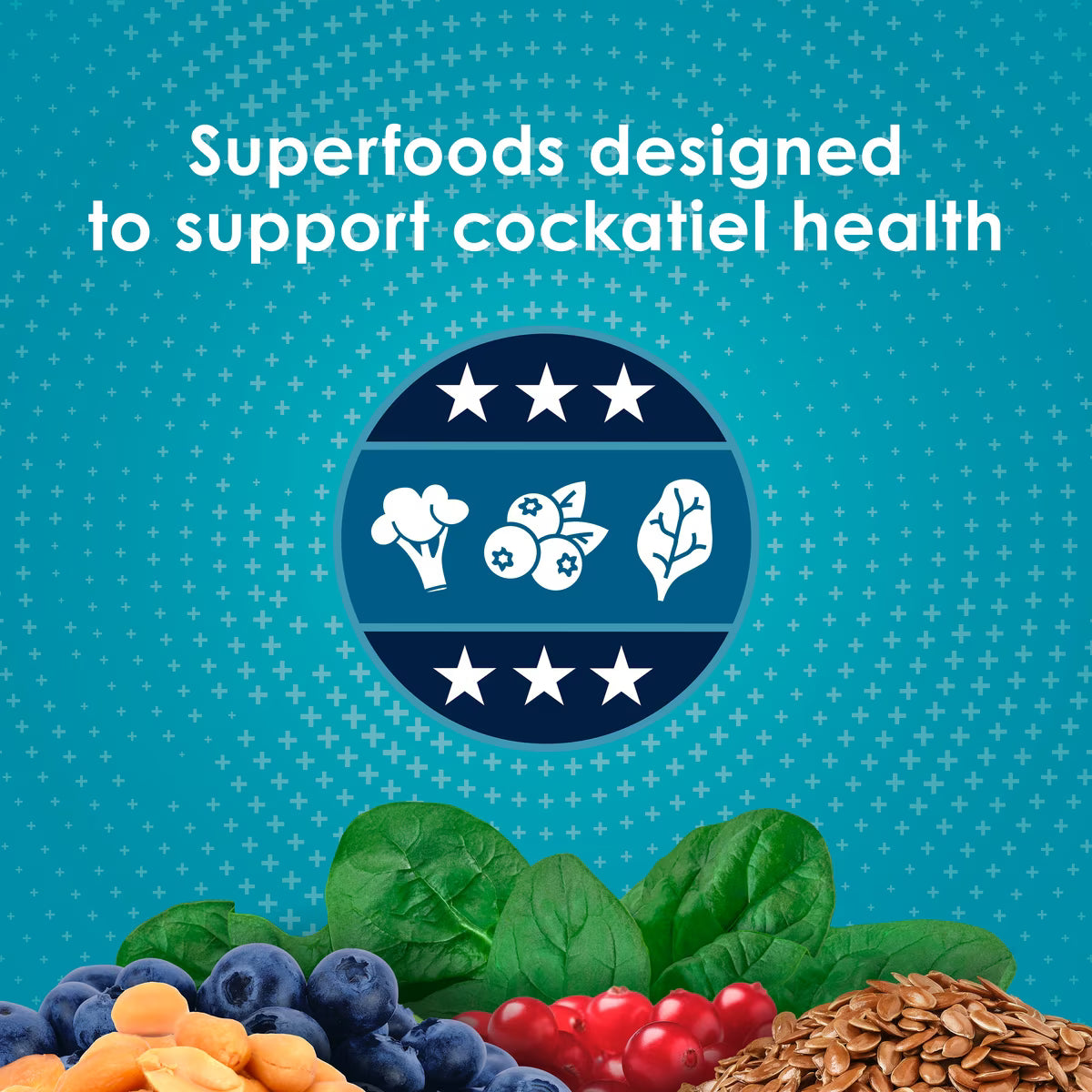 Kaytee Forti-Diet Pro Health Nourish + Protect Cockatiel Food 4lb
