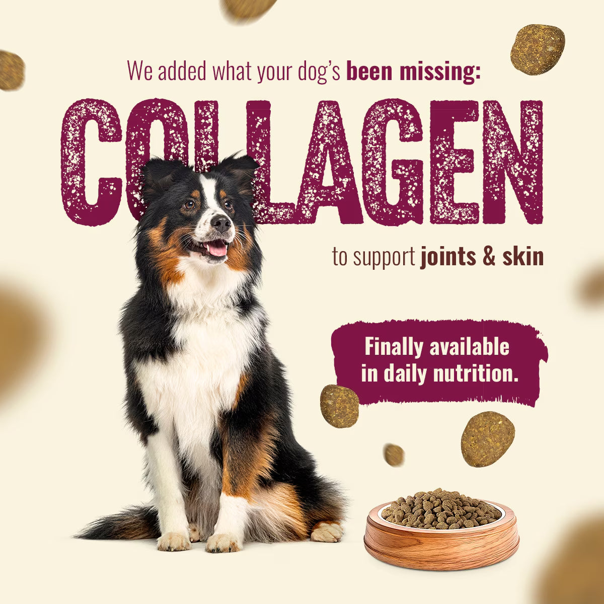 Natural Farm Fresh Beef Recipe with Collagen Dry Dog Food, 4-lb bag