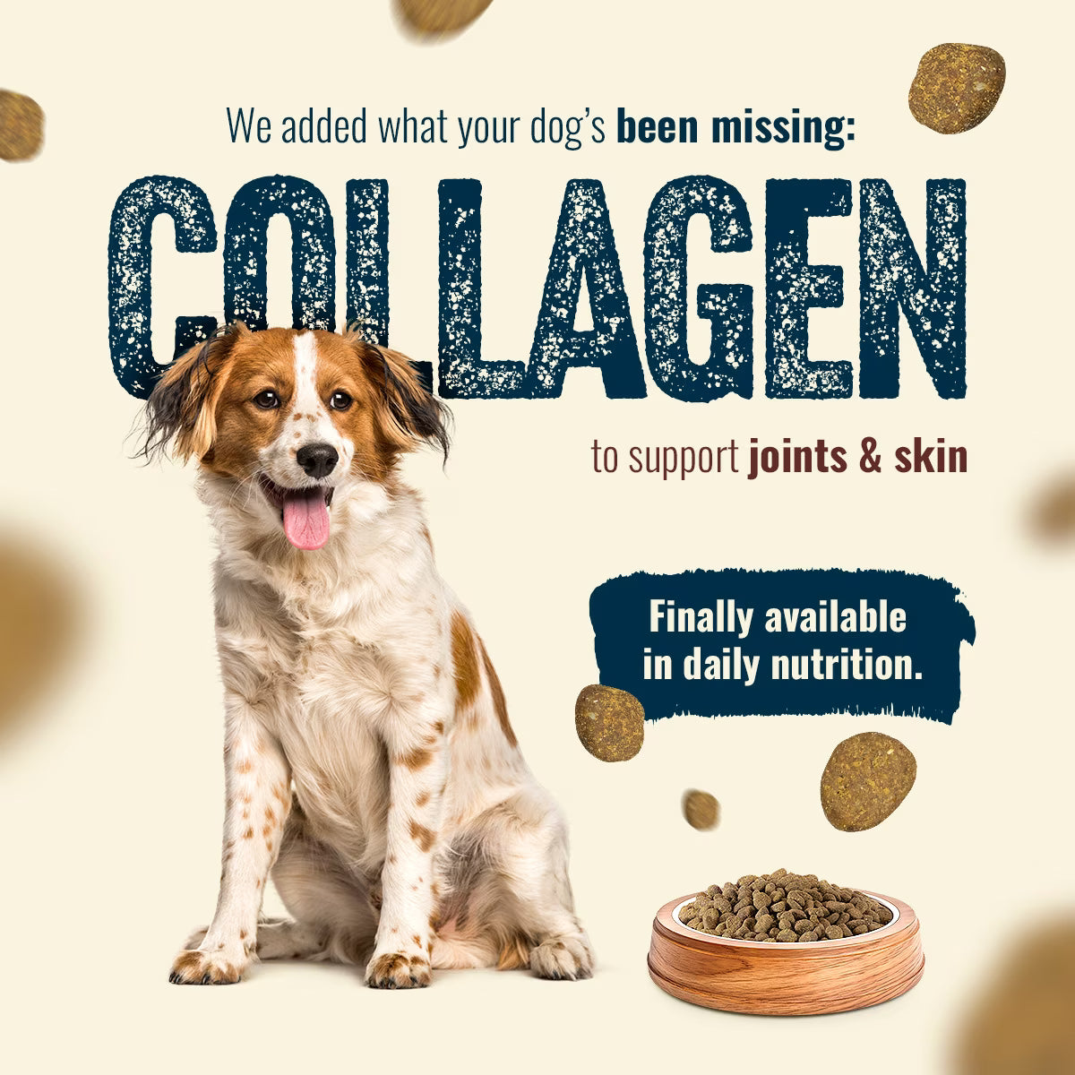 Natural Farm Fresh Salmon Recipe with Collagen Dry Dog Food, 22.5-lb bag