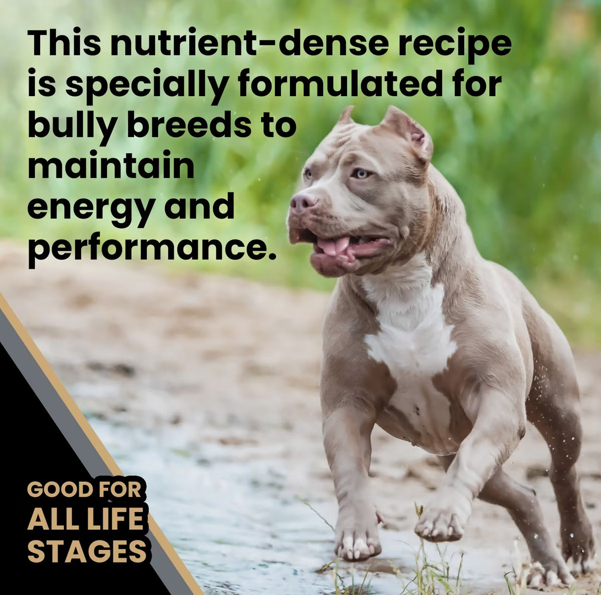 VICTOR BULLY FUEL 15LB