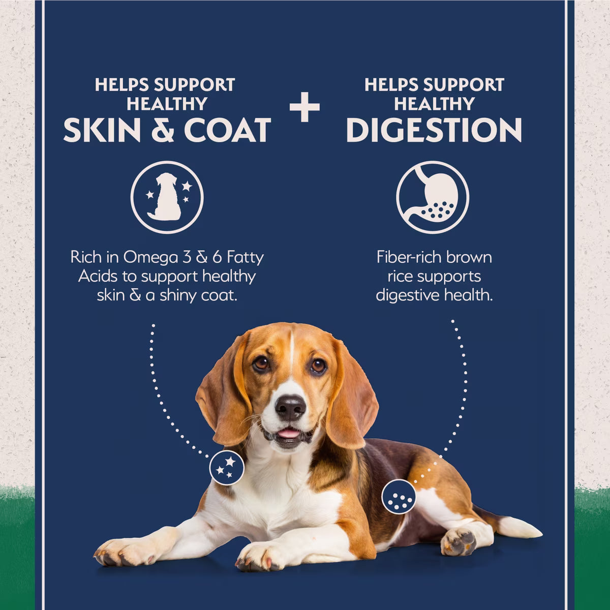 Natural Balance Lamb & Brown Rice Recipe Dry Dog Food 4lb