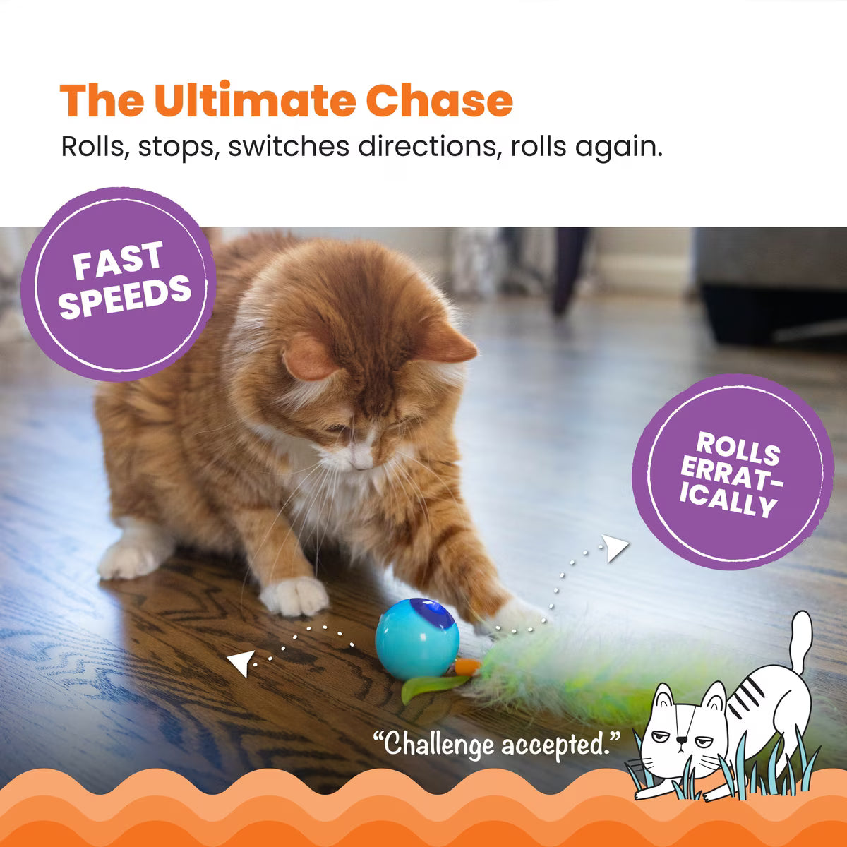 OWH ROLL & CHASE ROBOT TOY