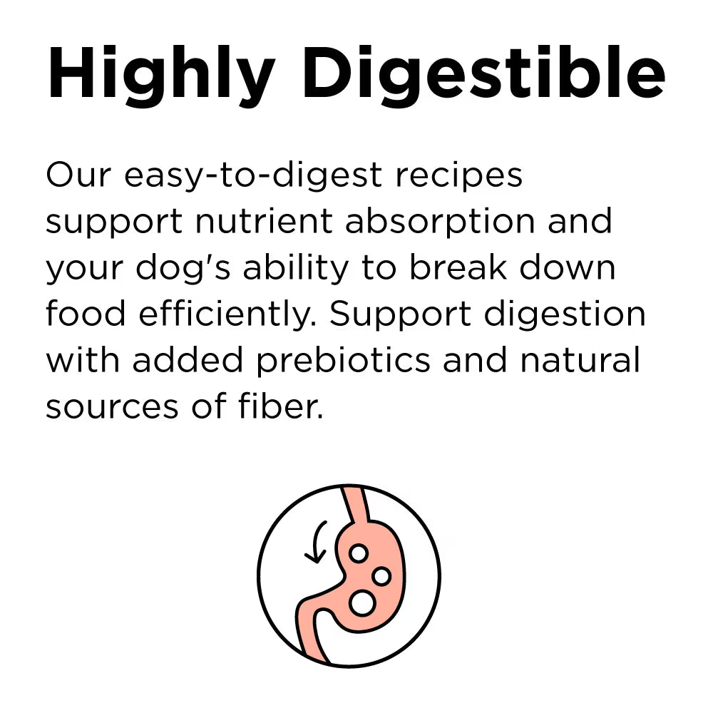 BIXBI Rawbble Grain-Free Beef Recipe Dry Dog Food 24 LB