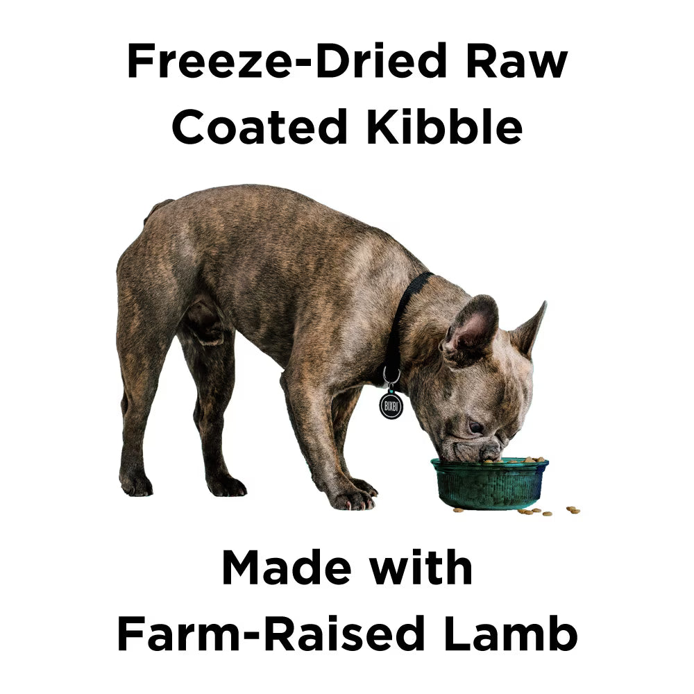 Bixbi Rawbble Fresh Lamb Recipe Grain-Free Dry Dog Food 4lb
