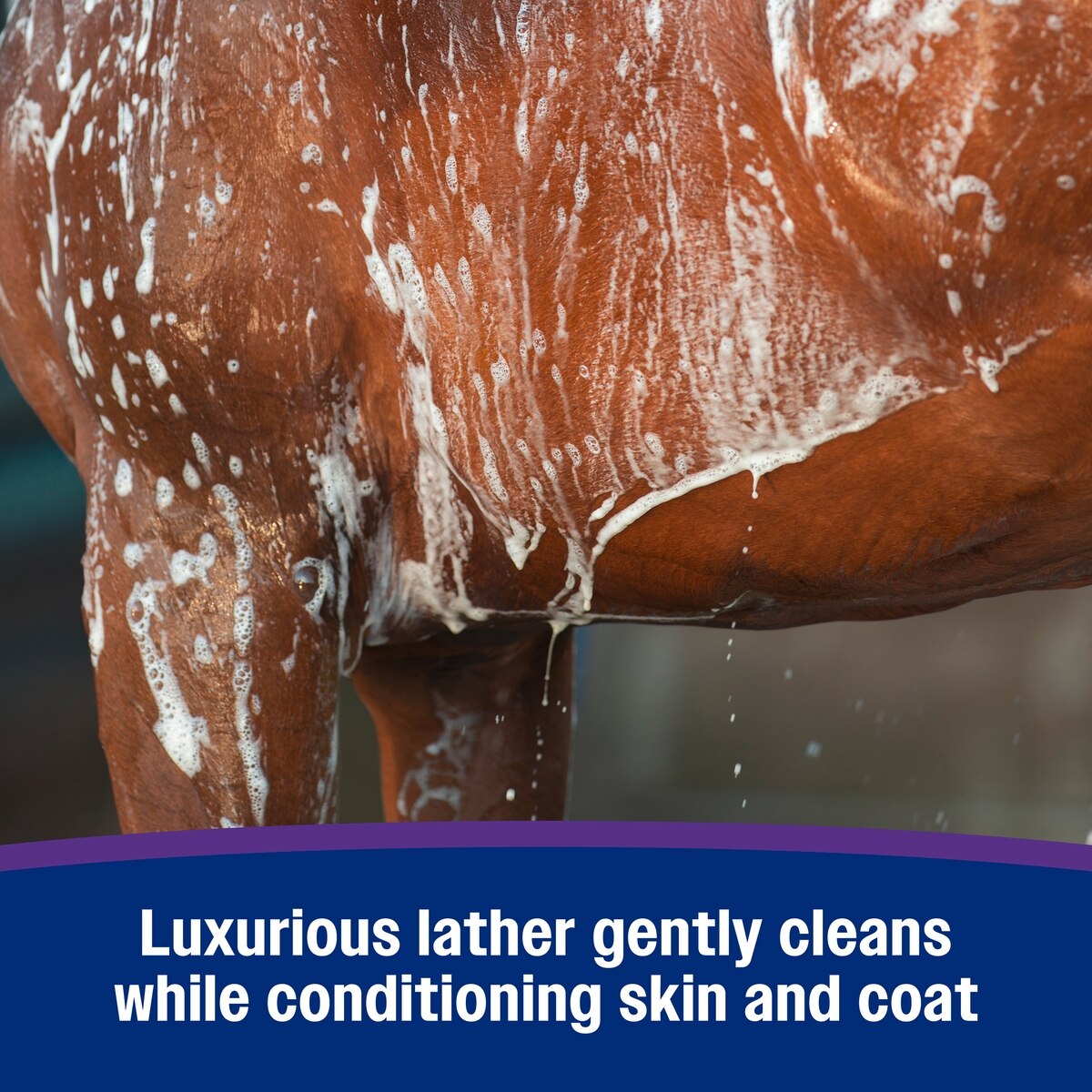 Farnam Vetrolin Gentle Moisturizing Body Wash for Horses 32oz