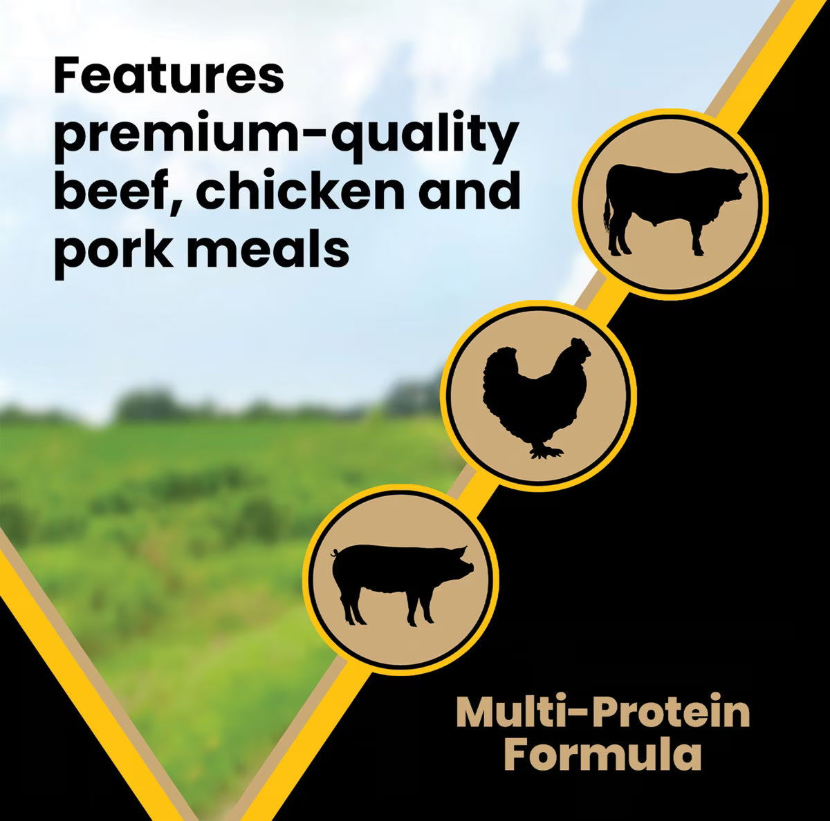 VICTOR Multi-Pro Normally Active Gluten-Free Dry Dog Food 50lb