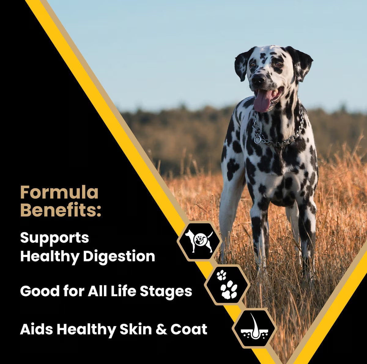 VICTOR Multi-Pro Normally Active Gluten-Free Dry Dog Food 50lb
