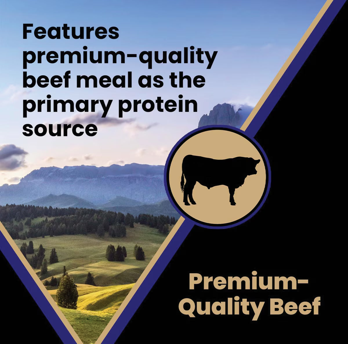 VICTOR Gluten-Free Beef Meal & Brown Rice Dry Dog Food 40lb