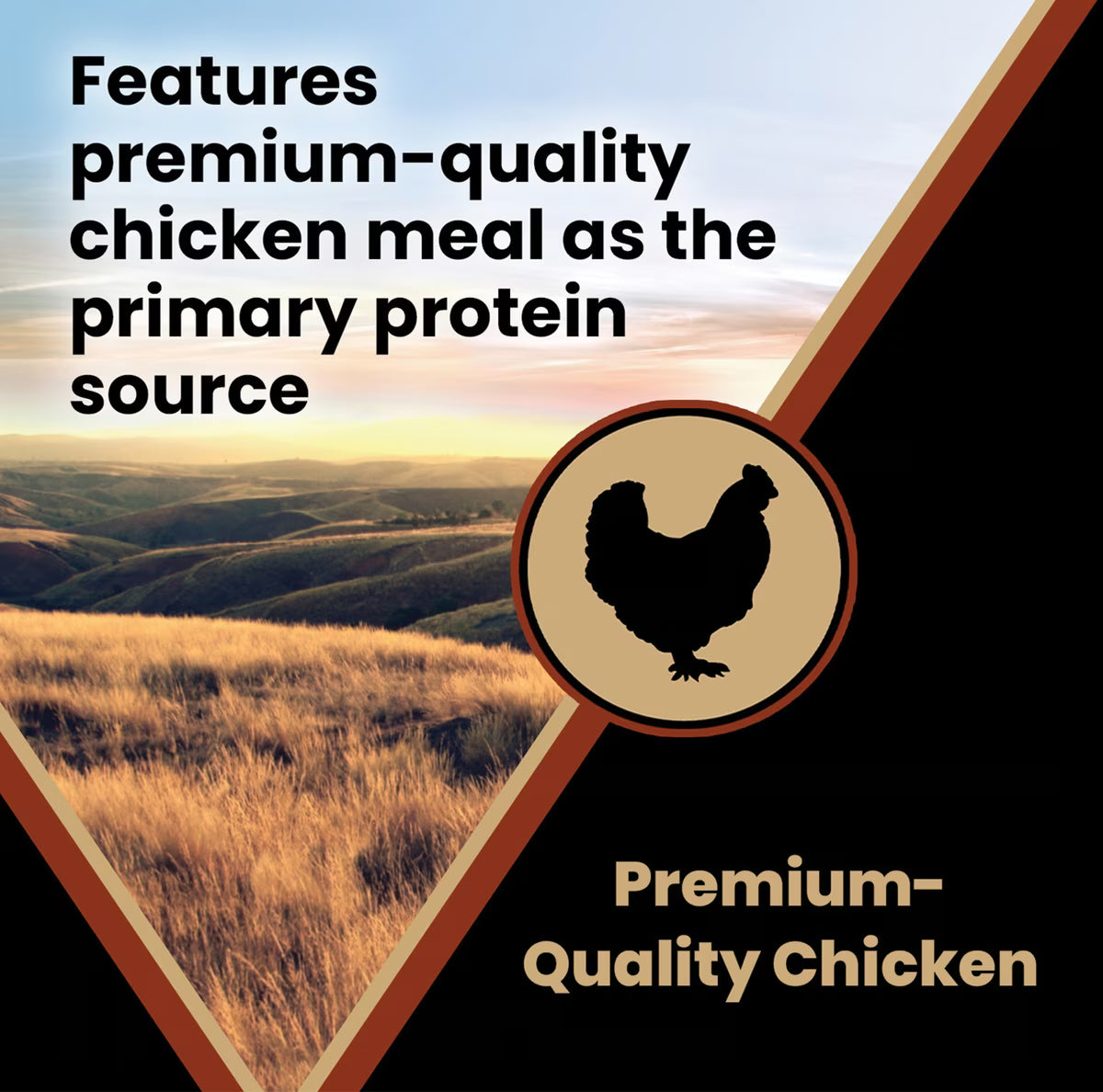 VICTOR Gluten-Free Chicken Meal & Brown Rice Formula Dry Dog Food 40lb