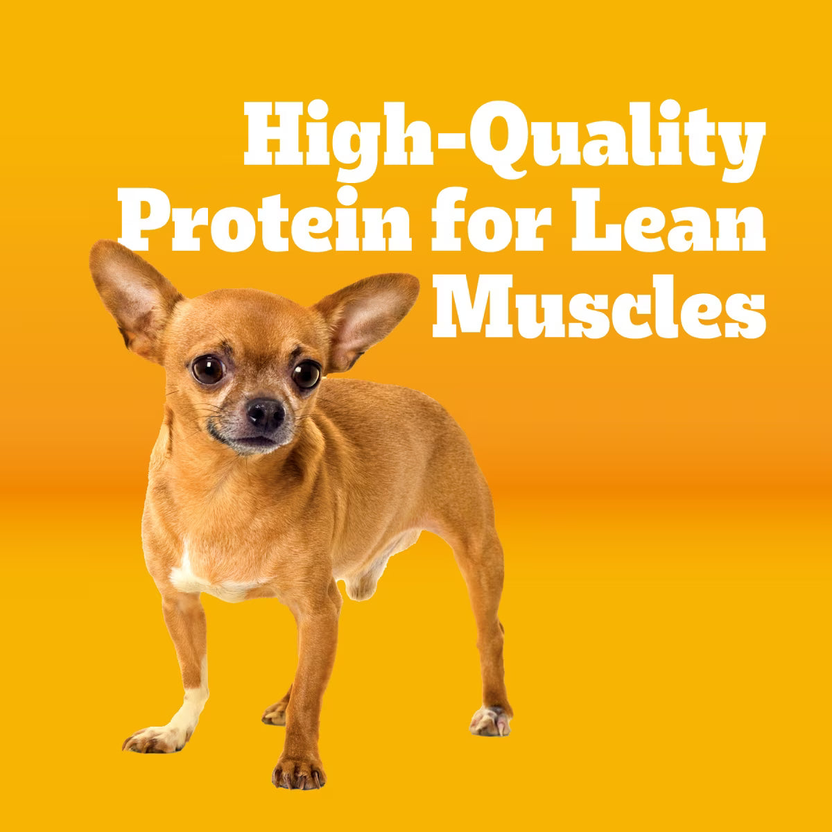 Pedigree Small Dog Complete Nutrition Roasted Chicken, Rice & Vegetable Flavor Small Breed Adult Dry Dog Food 14 lbs