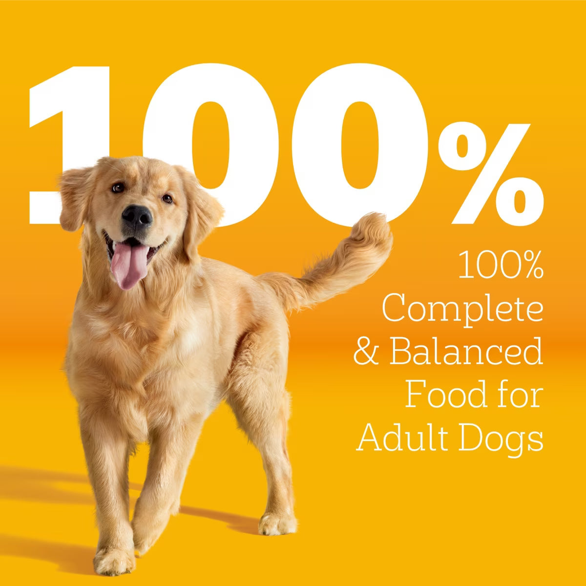 Pedigree Tender Bites Adult Complete Nutrition Chicken & Steak Flavor Dry Dog Food 14lb