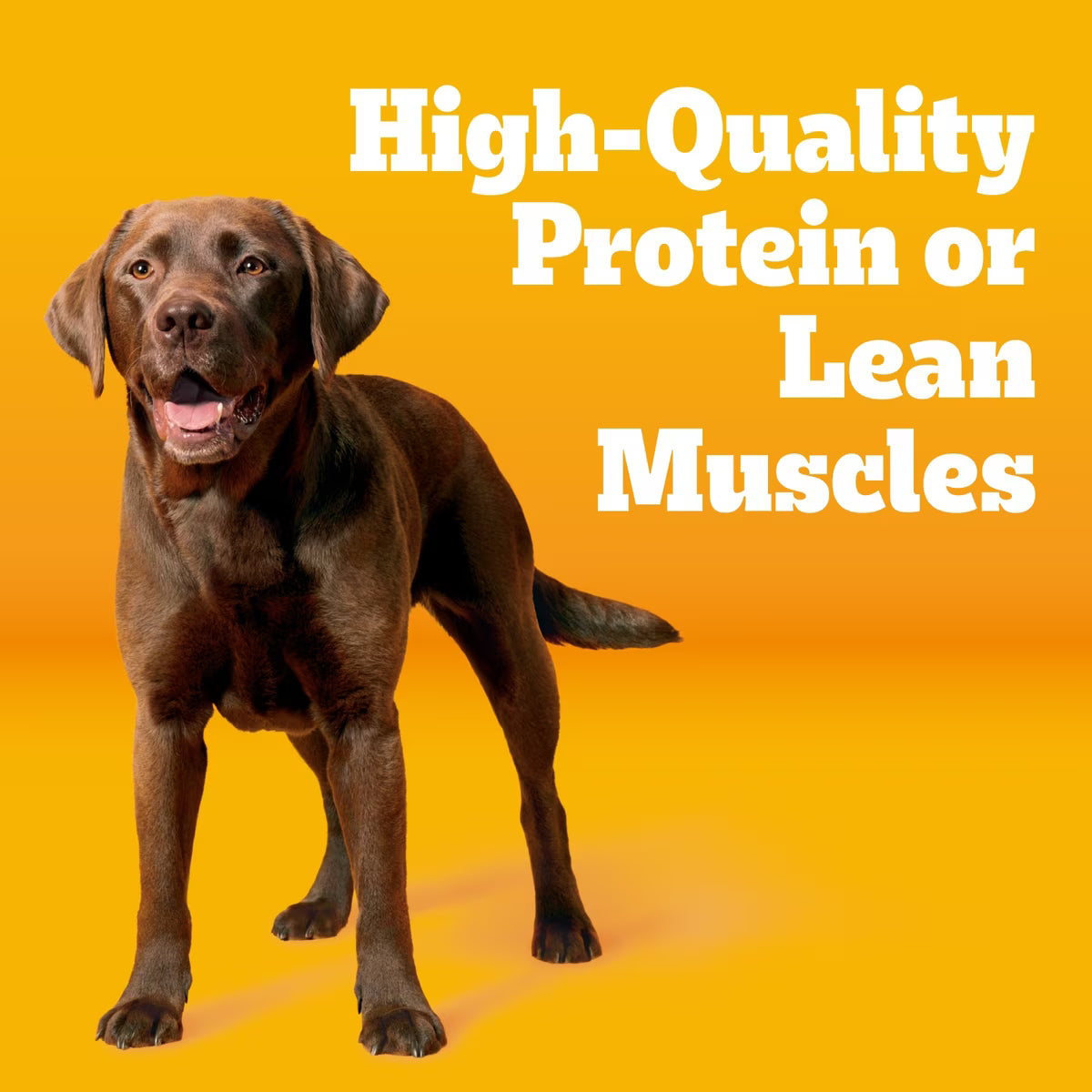Pedigree Tender Bites Adult Complete Nutrition Chicken & Steak Flavor Dry Dog Food 14lb