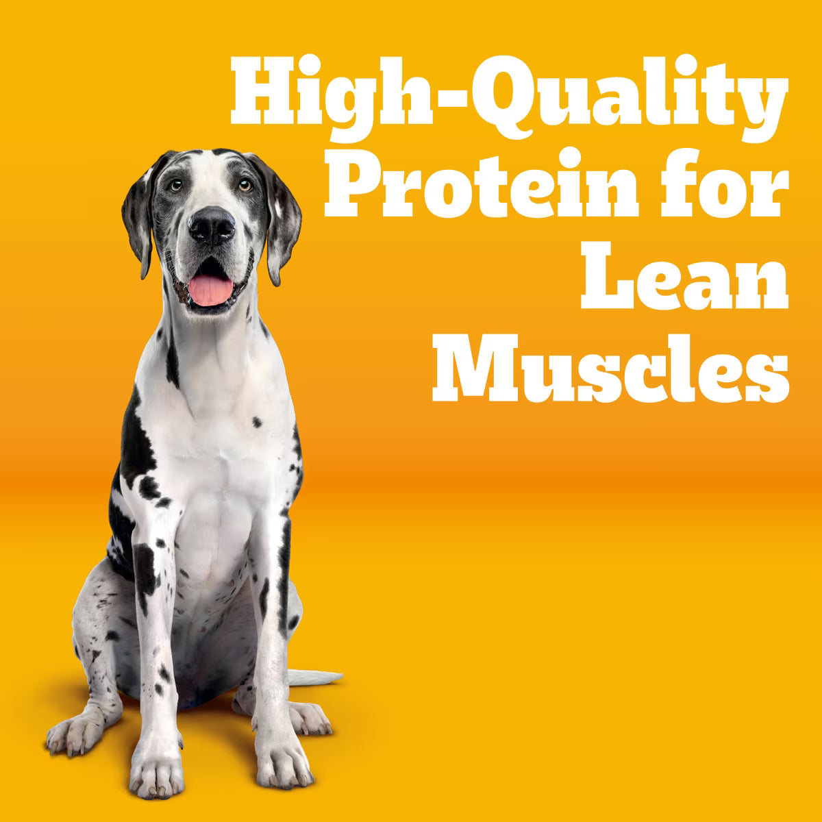 Pedigree Large Breed Adult Roasted Chicken, Rice & Vegetable Flavor Dry Dog Food 16 LB