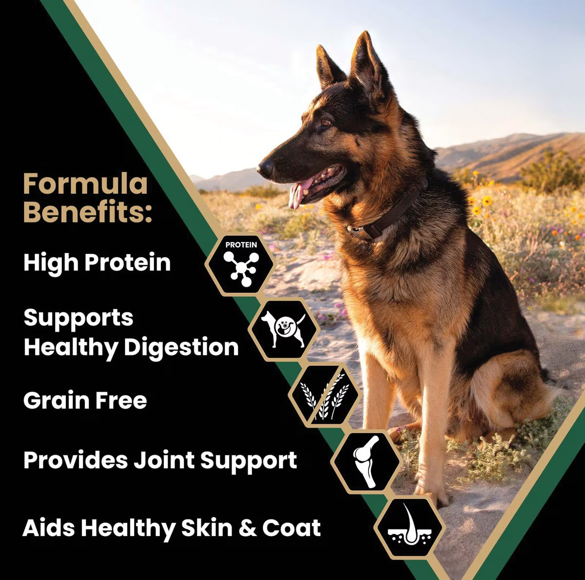 VICTOR Grain-Free Hero Canine Hip & Joint Support High Protein Adult Active Dry Dog Food 50 lb