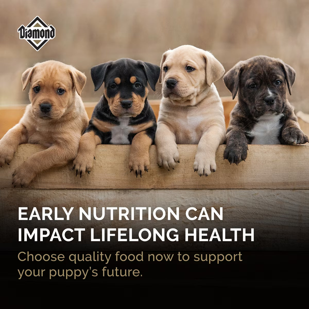 Diamond Puppy All Life Stages High Protein 31/20 Formula for Puppies 40lb
