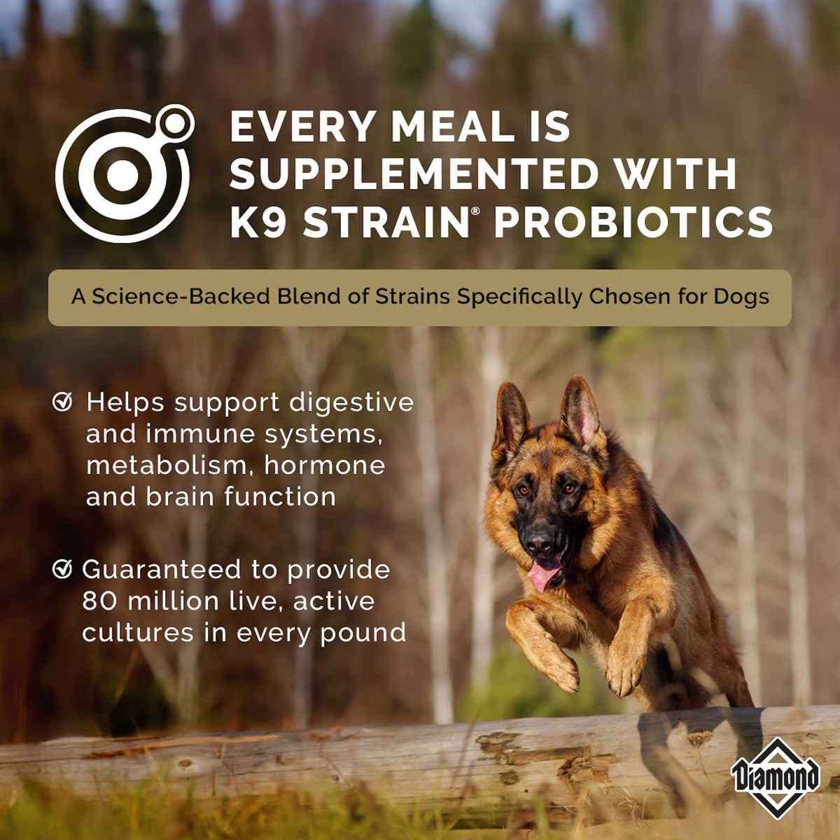 Diamond Performance All Life Stages 30/20 High Protein Formula for Highly Active, Hard Working & Athletic Dogs Dry Food 40lb