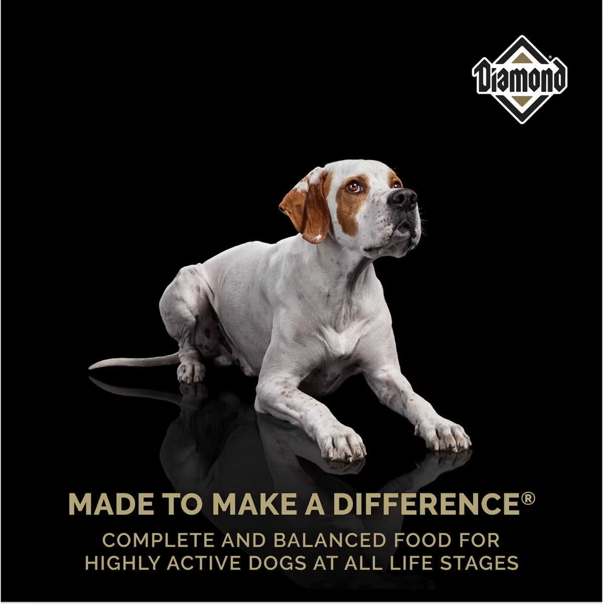 Diamond Performance All Life Stages 30/20 High Protein Formula for Highly Active, Hard Working & Athletic Dogs Dry Food 40lb