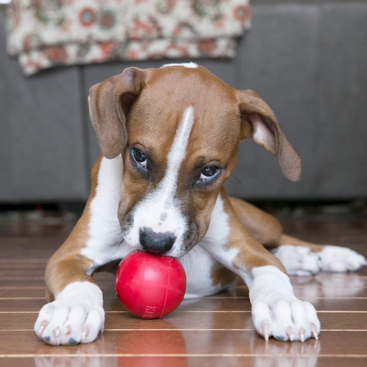 Kong Classic Ball with Holes for Dogs Small