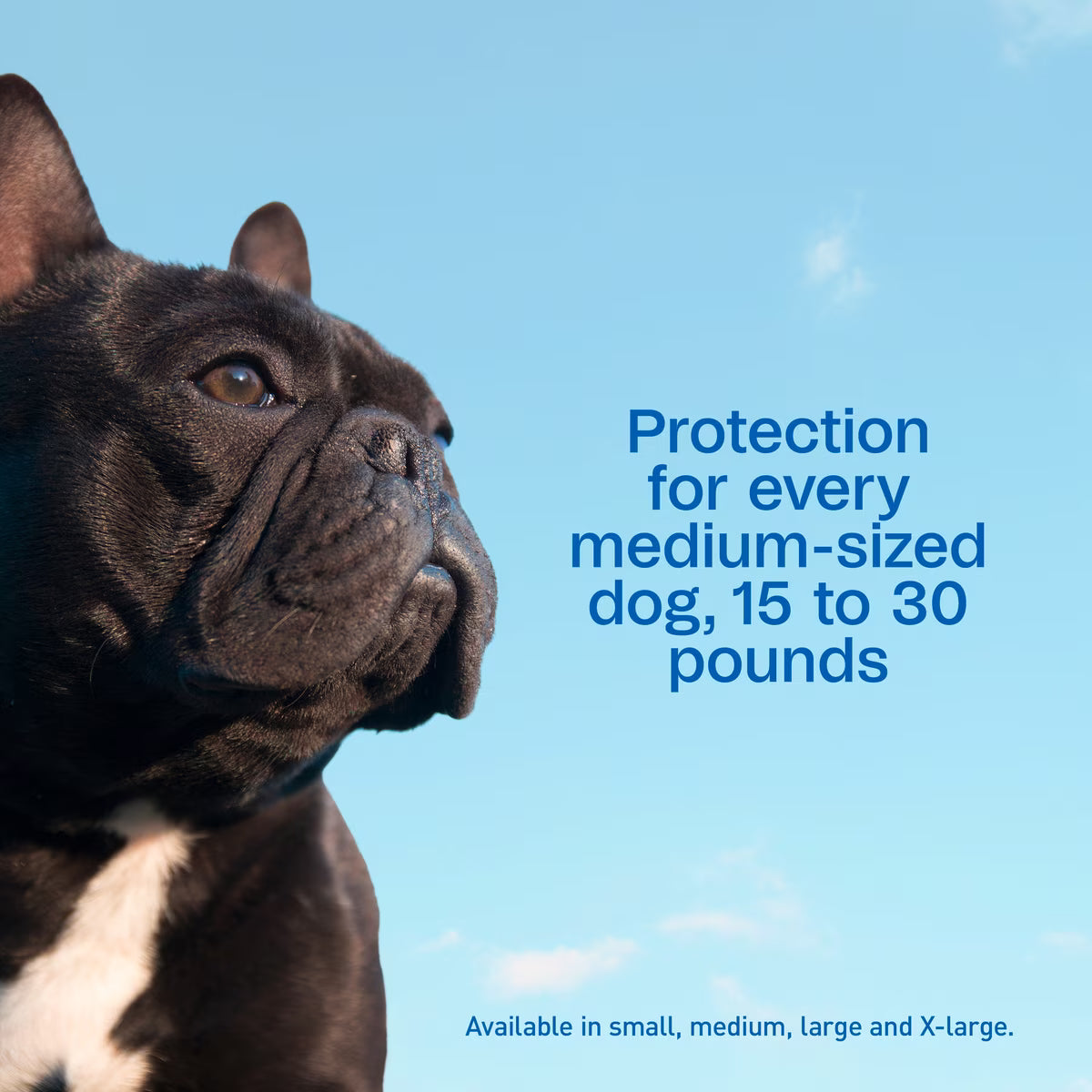 Adams Plus Flea & Tick Prevention Spot On for Medium Dogs 15-30lb 3 Mont Supply