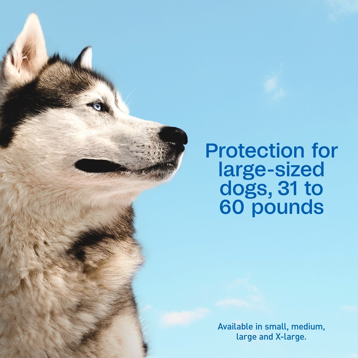 Adams Plus Flea & Tick Prevention Spot On for Large Dogs 31-60lbs 3 Month Supply