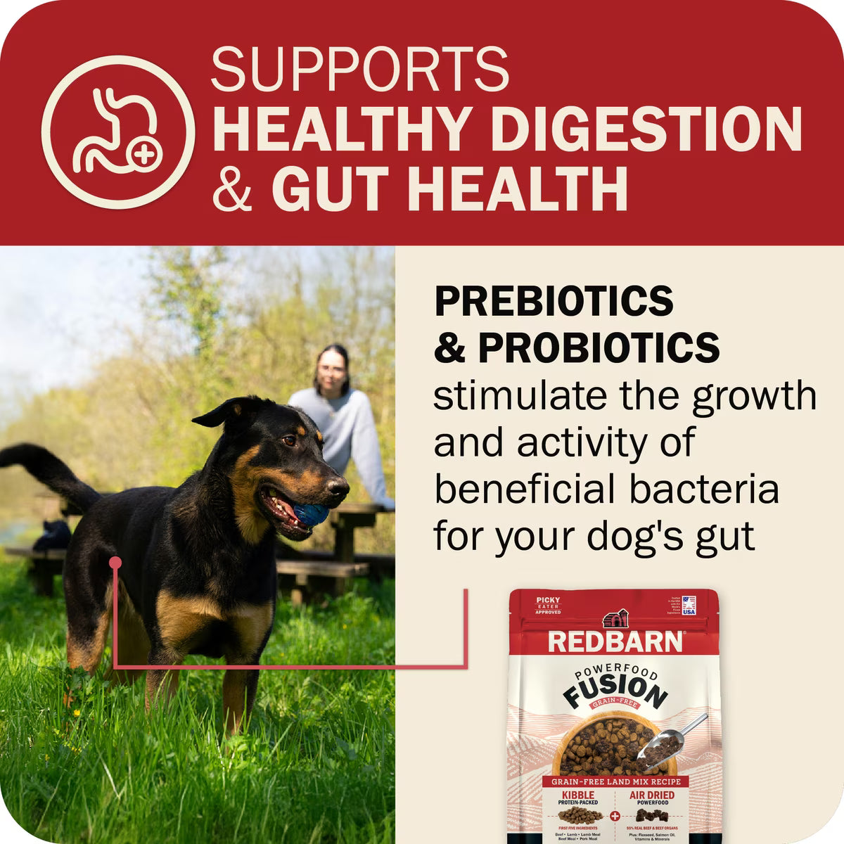 Redbarn Powerfood Fusion Air Dried Grain-Free Land Beef & Lamb Recipe Kibble Blend Dry Dog Food 3.5lb