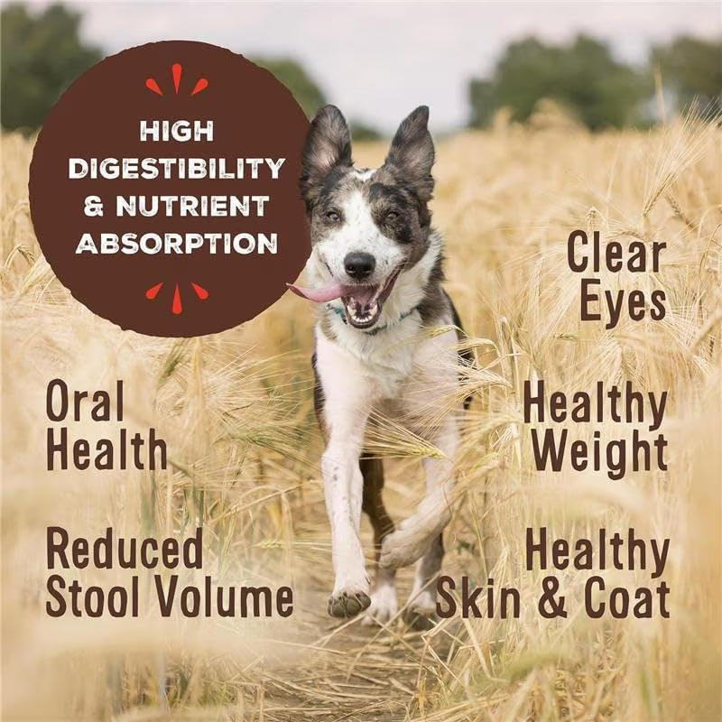 Primal Lamb Nuggets Freeze-Dried Grain-Free Dog Food 14oz