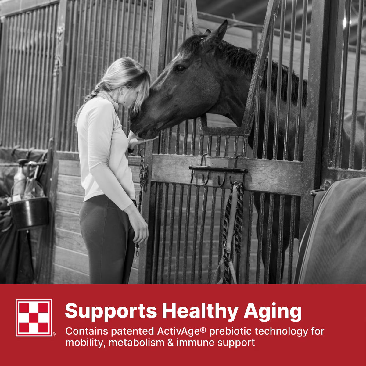 Purina Equine Senior Horse Feed 50lb