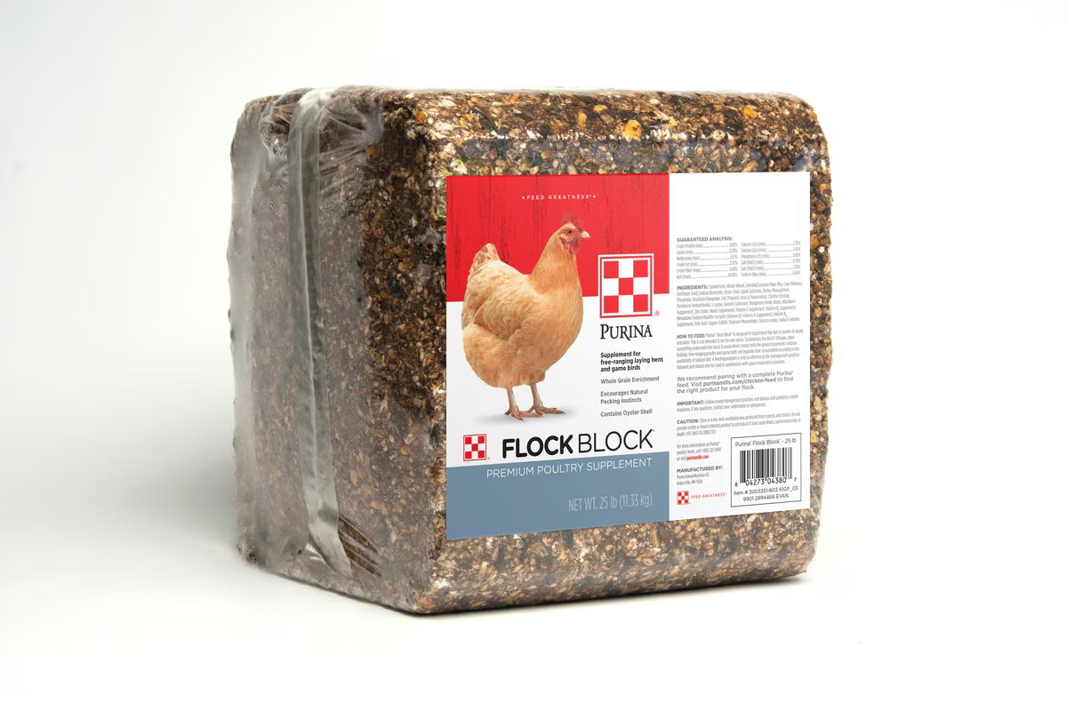 SCRATCH BLOCK