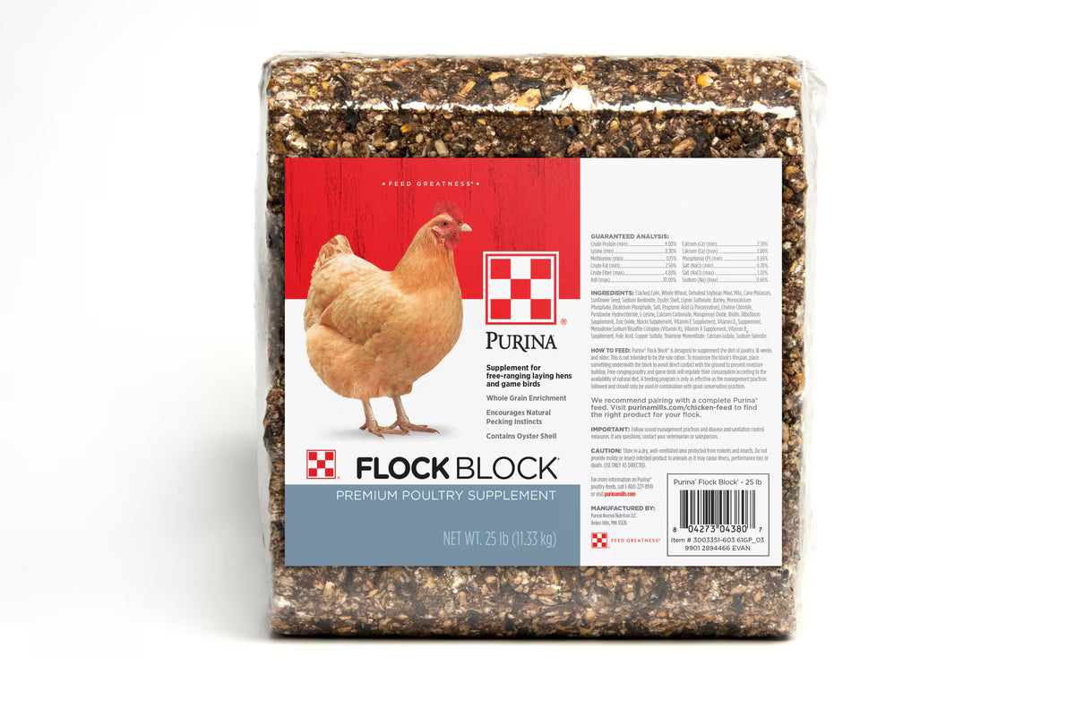 SCRATCH BLOCK